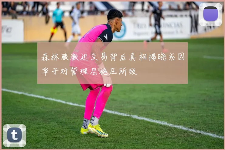 森林狼激进交易背后真相揭晓或因华子对管理层施压所致