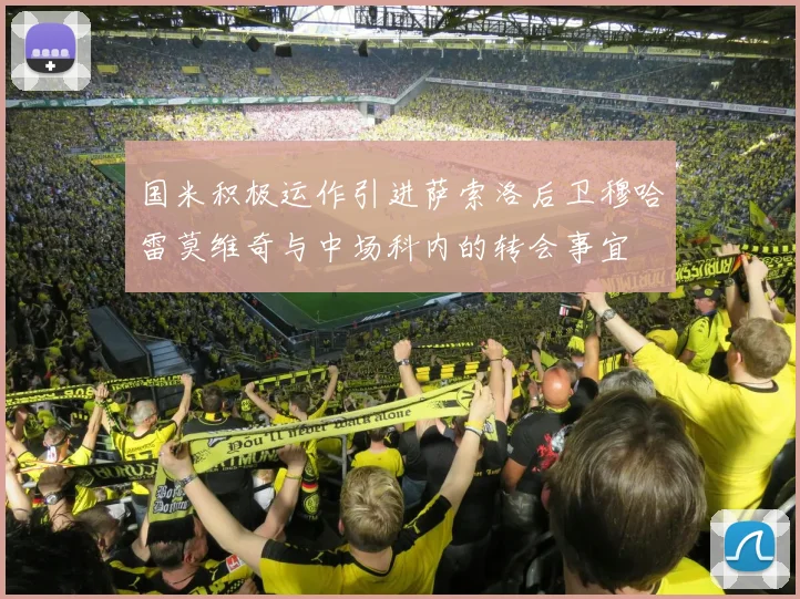 国米积极运作引进萨索洛后卫穆哈雷莫维奇与中场科内的转会事宜